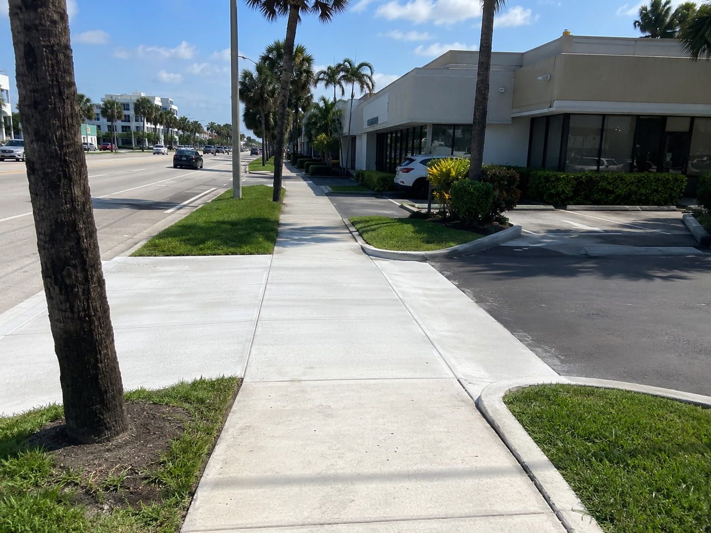 commercial sidewalk along a busy Miami road